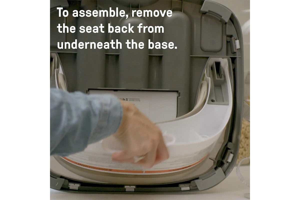 Ingenuity Base 2 in 1 Seat (Mist)