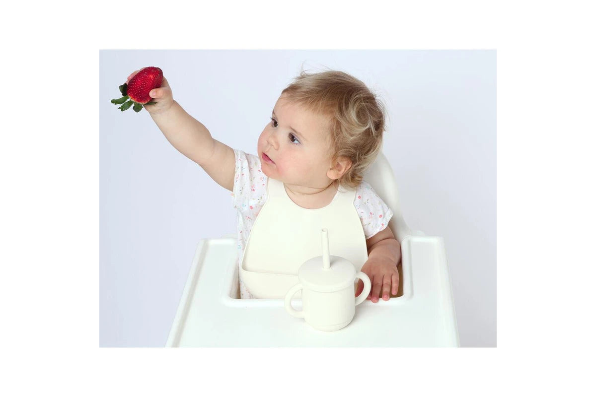 2pc My Pure Silicone Baby/Toddler Feeding Bib Set (Blush and Pannacotta) 4M+