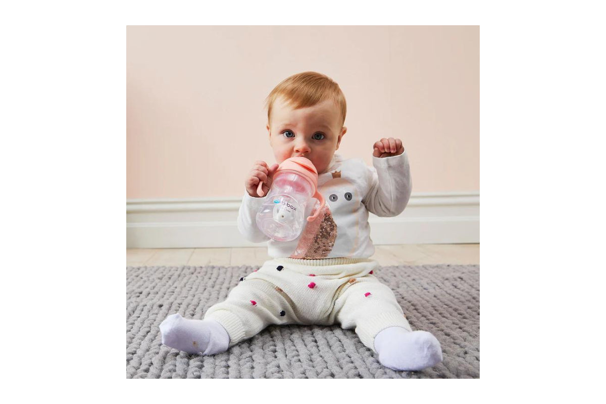 B.box Gelato Sippy Cup 240ml  (Tutti Frutti)