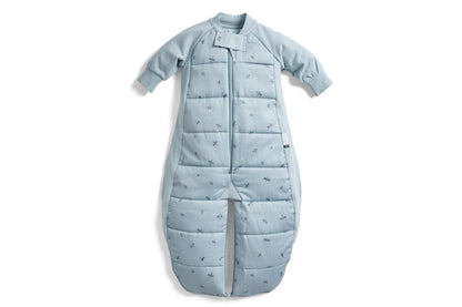 ErgoPouch Sleep Suit Bag TOG 2.5 Baby Toddler Cotton Dragonflies