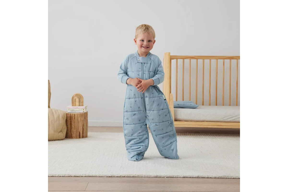 ErgoPouch Sleep Suit Bag TOG 2.5 Baby Toddler Cotton Dragonflies