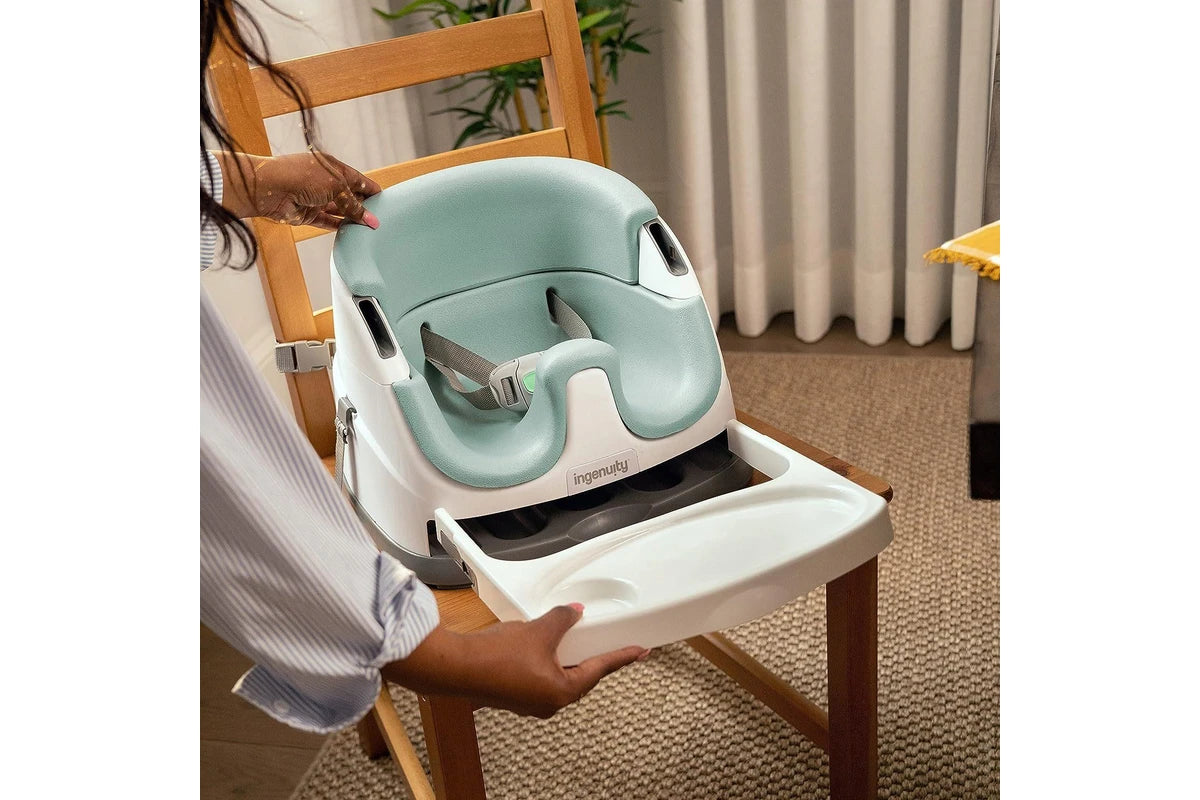Ingenuity Base 2 in 1 Seat (Mist)