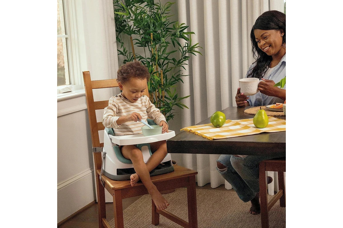 Ingenuity Base 2 in 1 Seat (Mist)