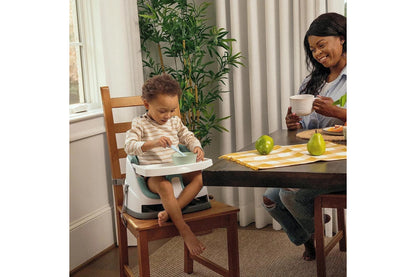 Ingenuity Base 2 in 1 Seat (Mist)