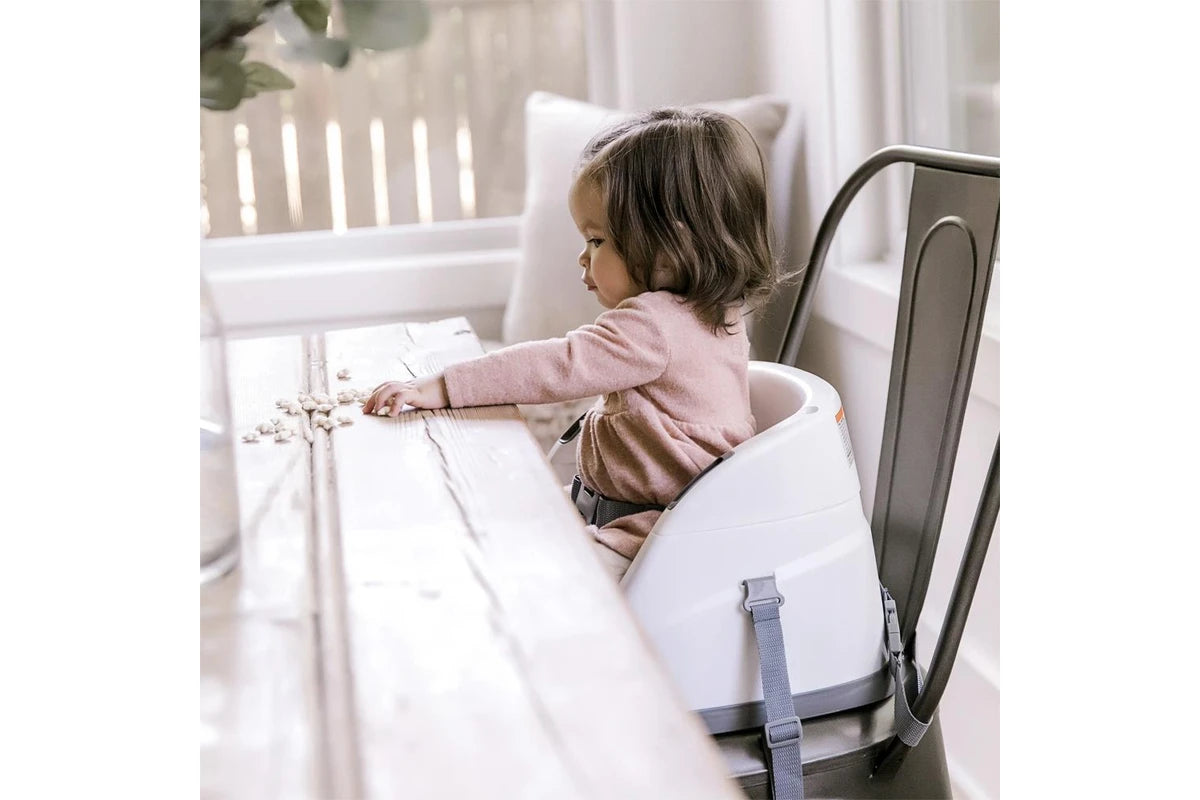 Ingenuity Base 2 in 1 Seat (Slate)