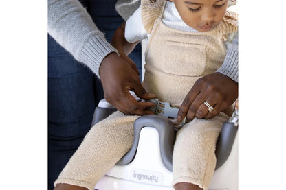 Ingenuity Base 2 in 1 Seat (Slate)